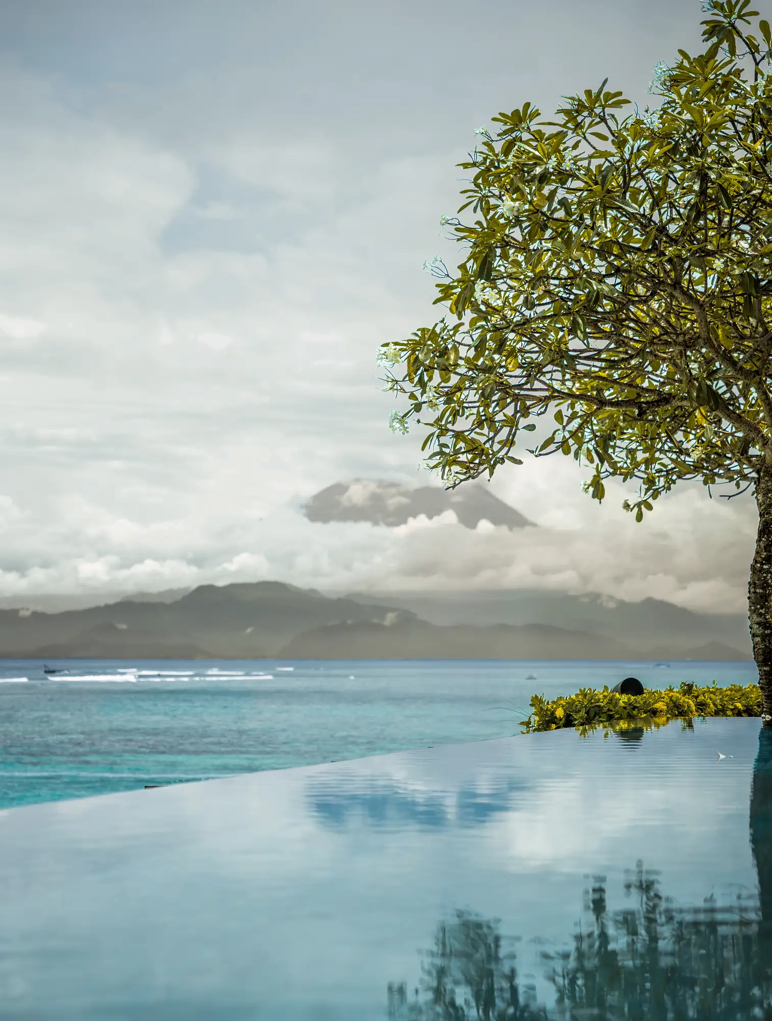 Infinity pool with frangipani tree and Mt Agung across the Lombok Strait at Lago Beach House