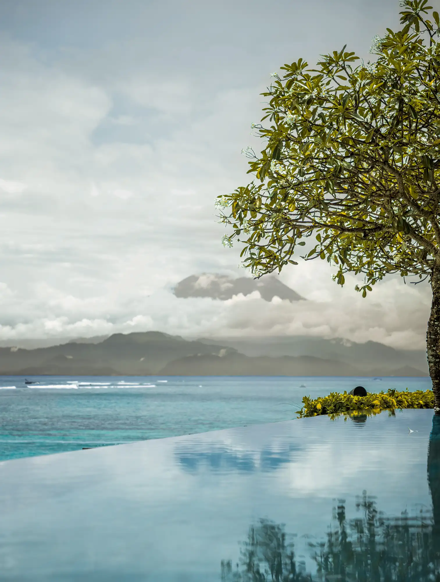 Infinity pool with frangipani tree and Mt Agung across the Lombok Strait at Lago Beach House