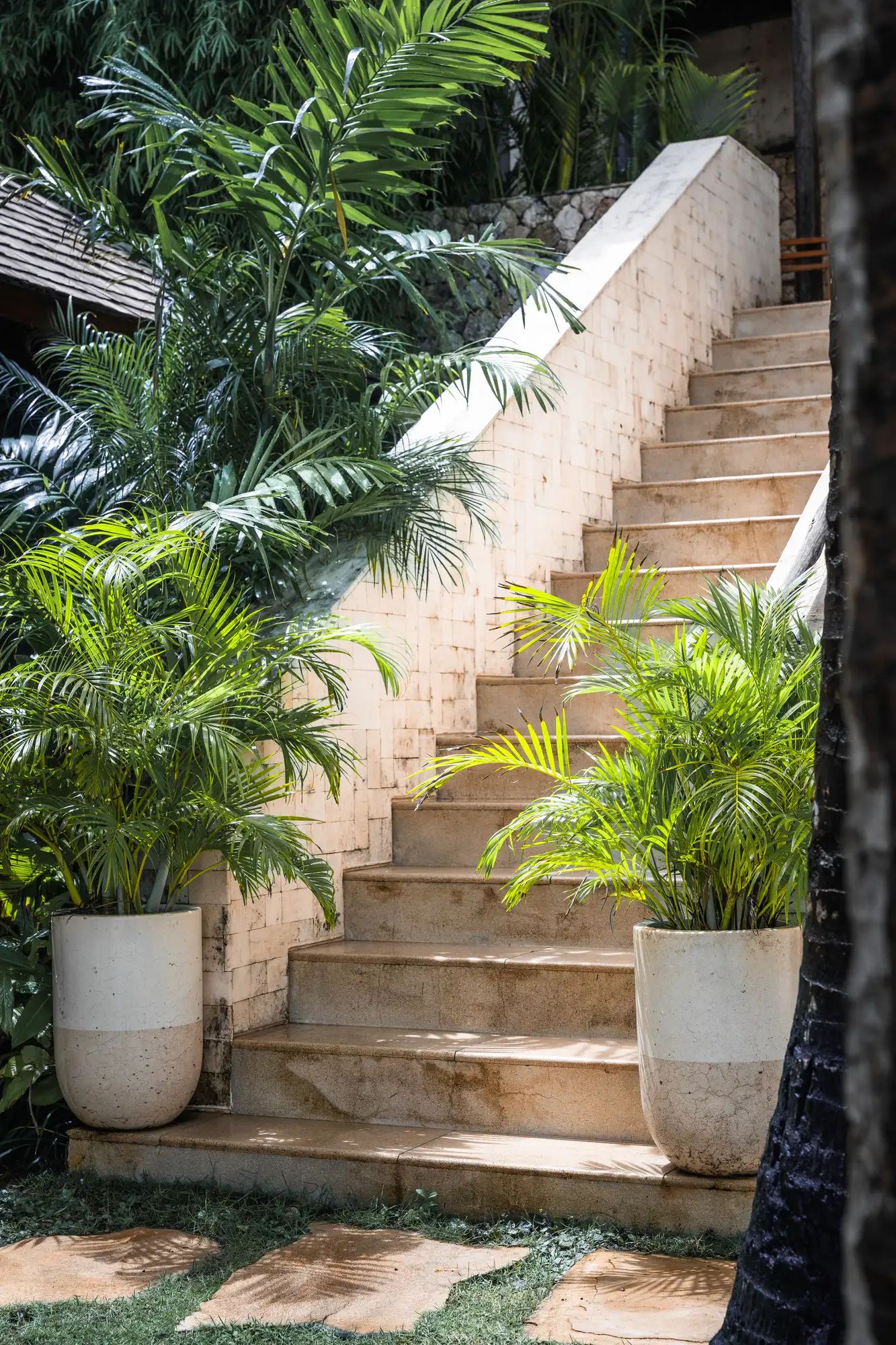 Limestone staircase to the Beach House flanked by potted palms and tropical foliage at Lago Nusa Lembongan